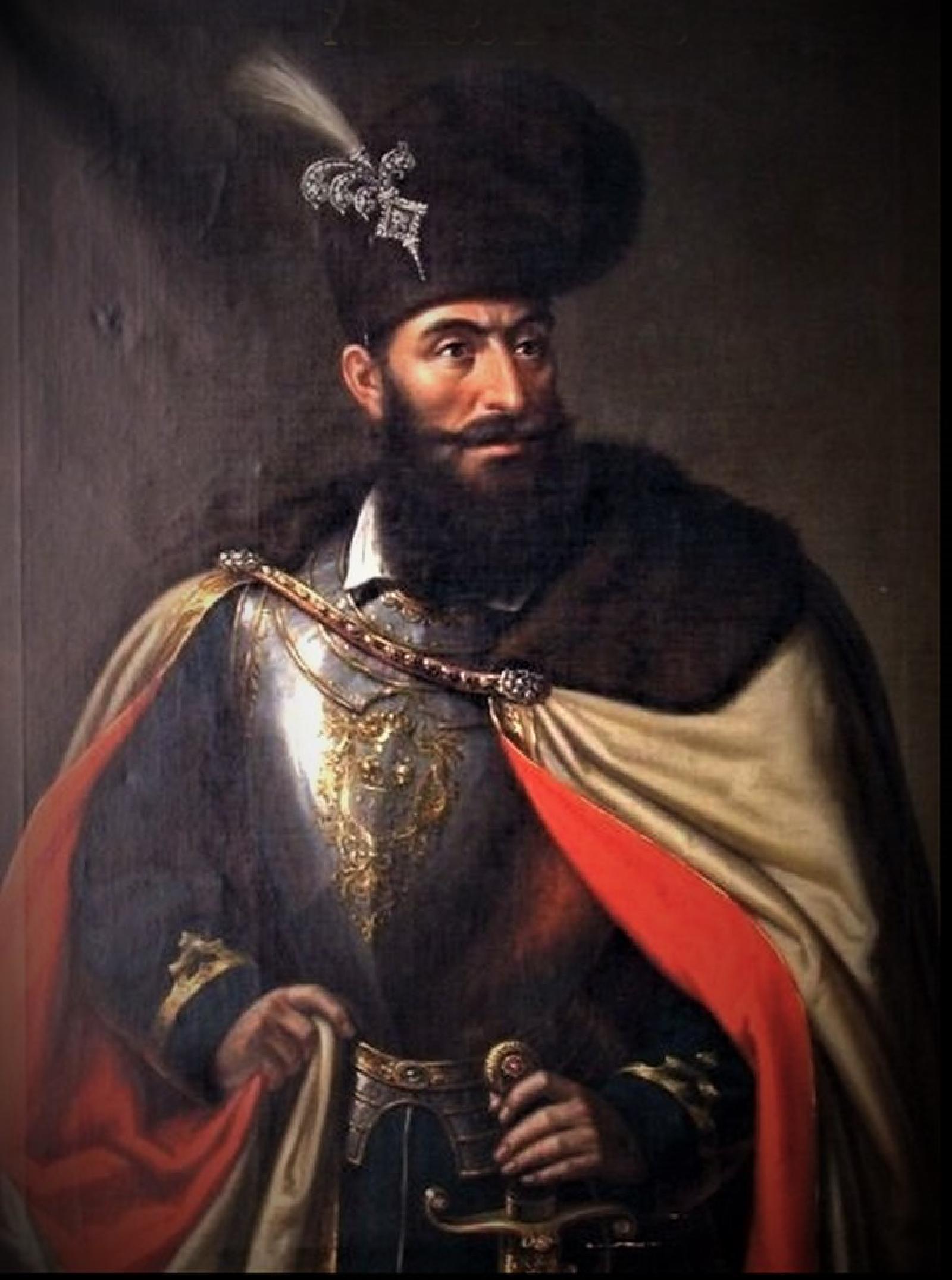 Featured image of post Domn al Țării Românești, al Ardealului și al Moldovei…
