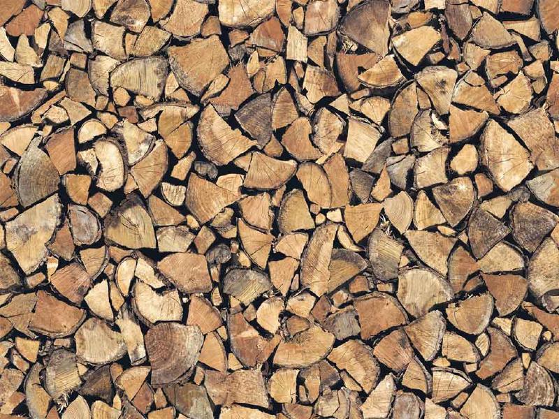 Featured image of post Guvernanții au găsit soluția la criza lemnelor de foc, românii se vor încălzi cu paie…