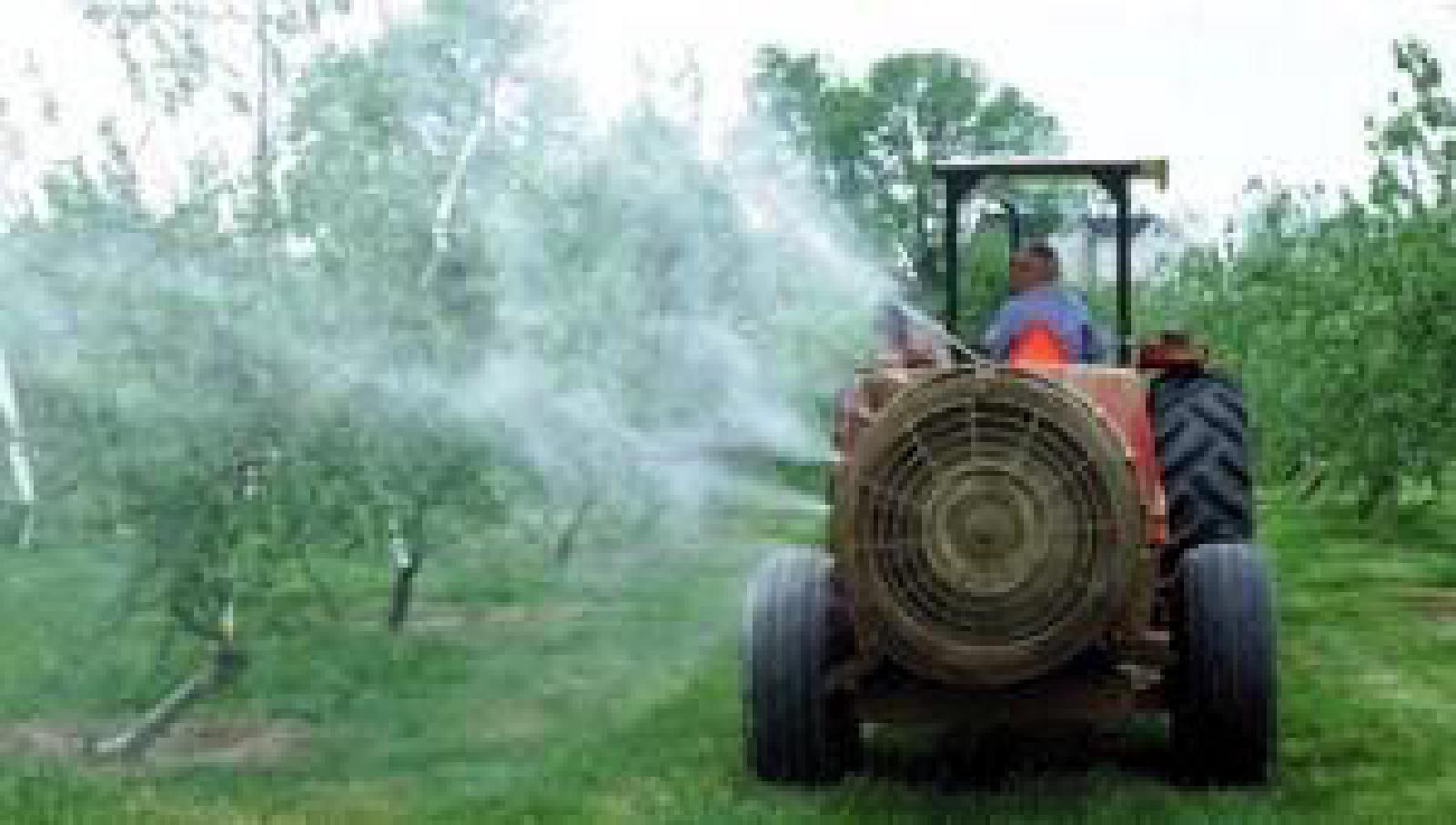 Featured image of post Ministrul Daea răspunde interpelării mele adresate Ministerului Agriculturii pe tema desființării Autorității Naționale Fitosanitare