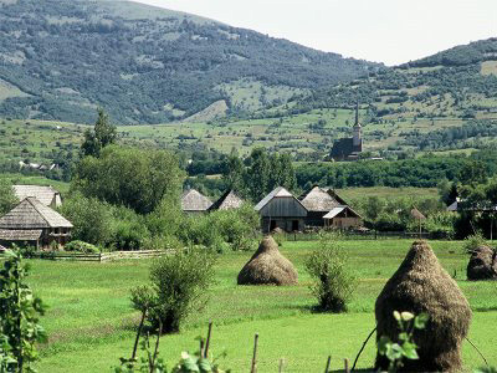 Featured image of post Premierul are datoria să dispună urgent verificarea administrării Parcului Natural Defileul Mureșului Superior