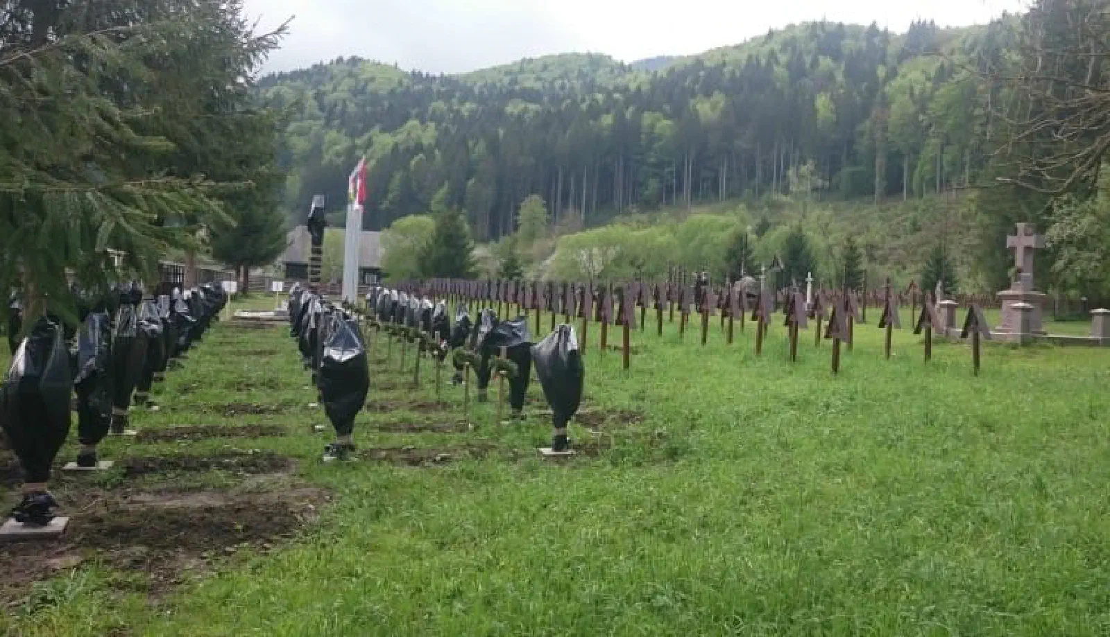Featured image of post Provocare la conflict interetnic… Solicit intervenția fermă a autorităților statului român!