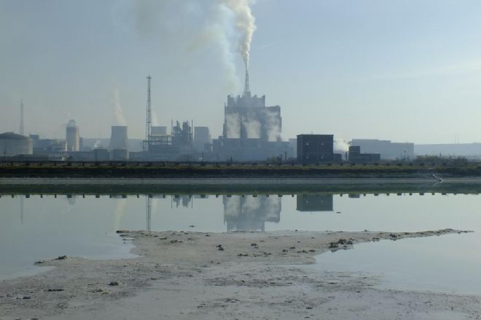 Featured image of post Radio Targu-Mures – Pascan: Se pot relua lucrările la ecologizarea iazului batal de la Azomureș