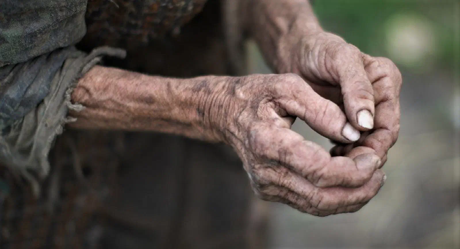 Featured image of post Să se vadă la șorici, să se bucure de nesimțire… între ei