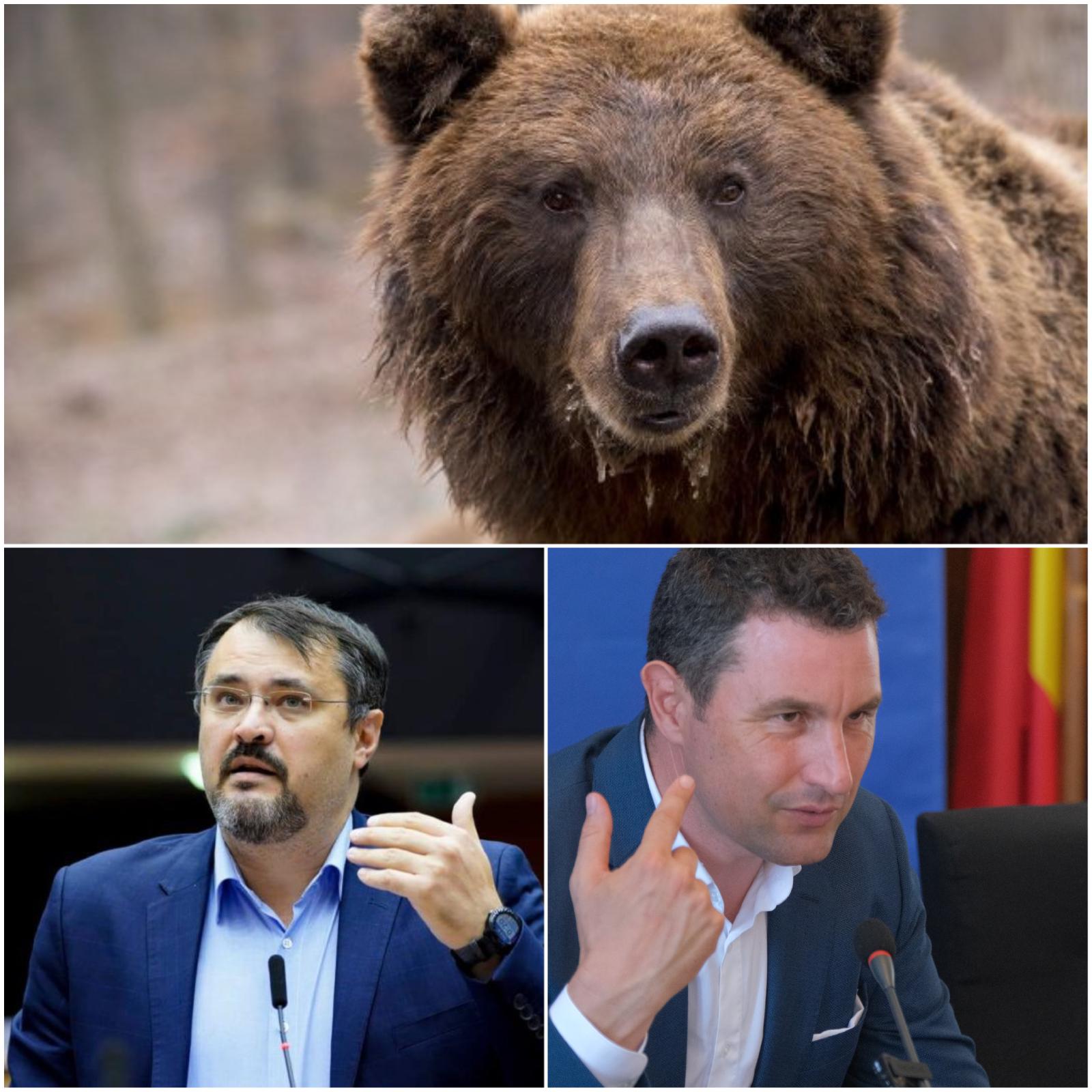 Featured image of post „Studiu științific”, unic în lume: La numărat excremente de urs pentru 11 milioane de euro