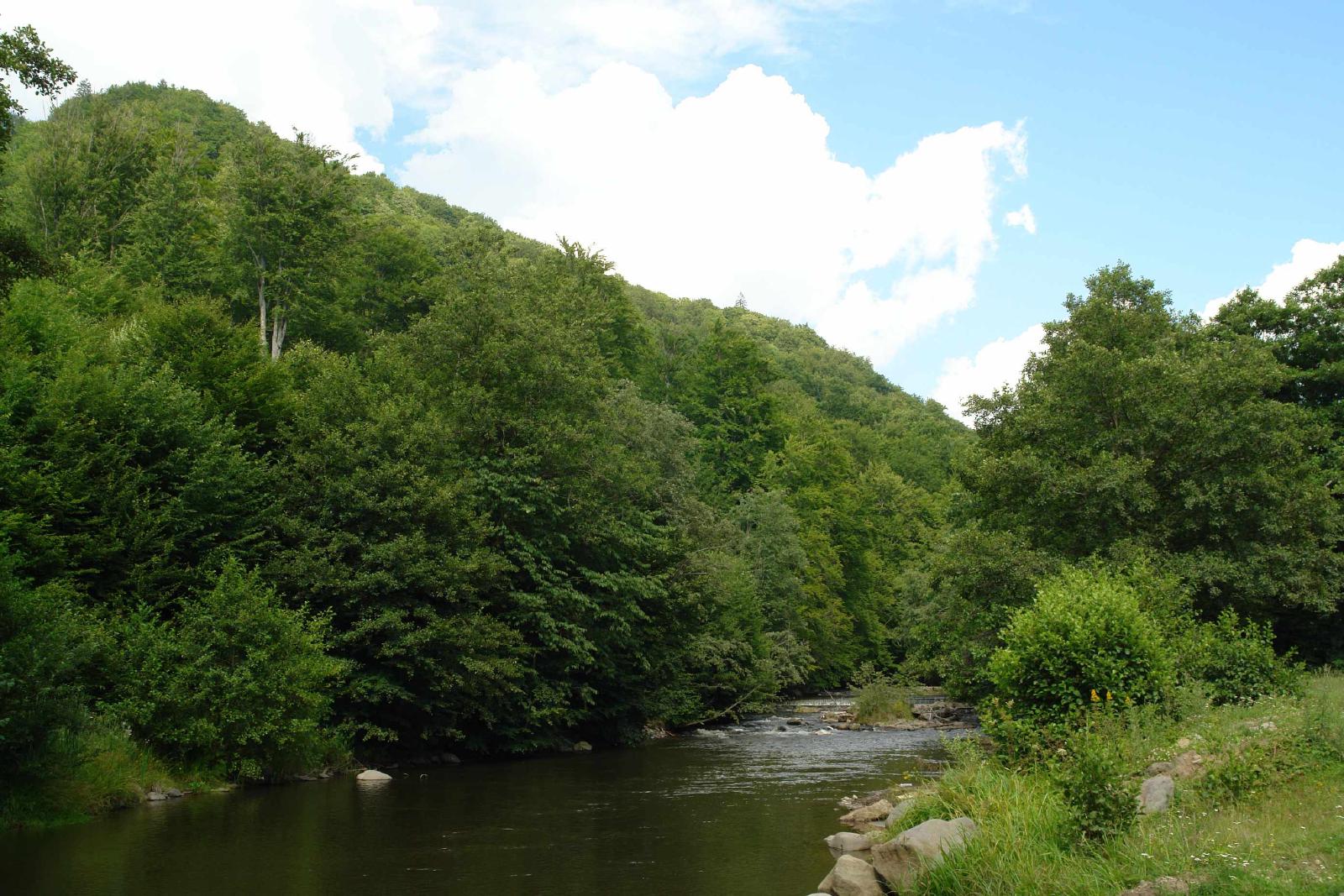Featured image of post Timp de trei ani, Parcul Natural Defileul Mureșului Superior a fost administrat ilegal