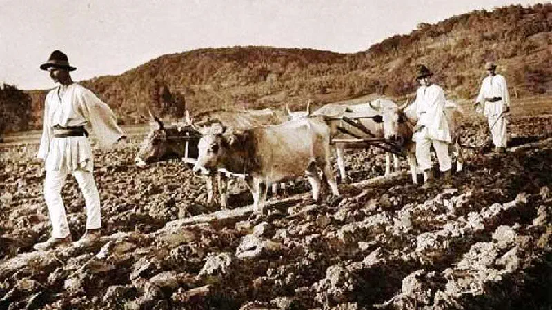 Featured image of post „Iubiți România care, de astăzi, este dreaptă pentru toți fii săi!”