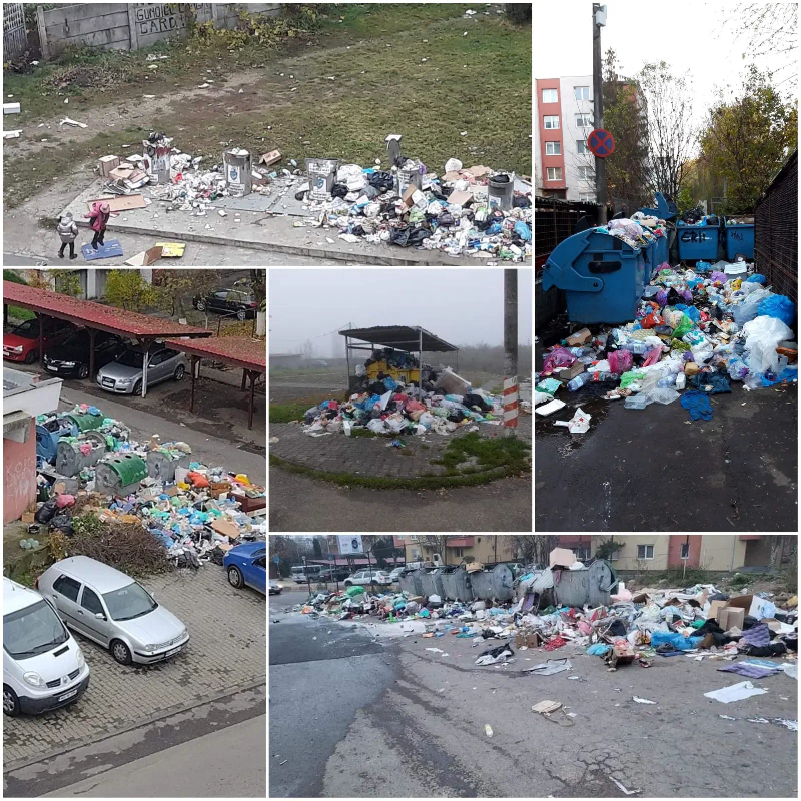 Featured image of post Mergeți pe fentă în continuare și votați etnic?!