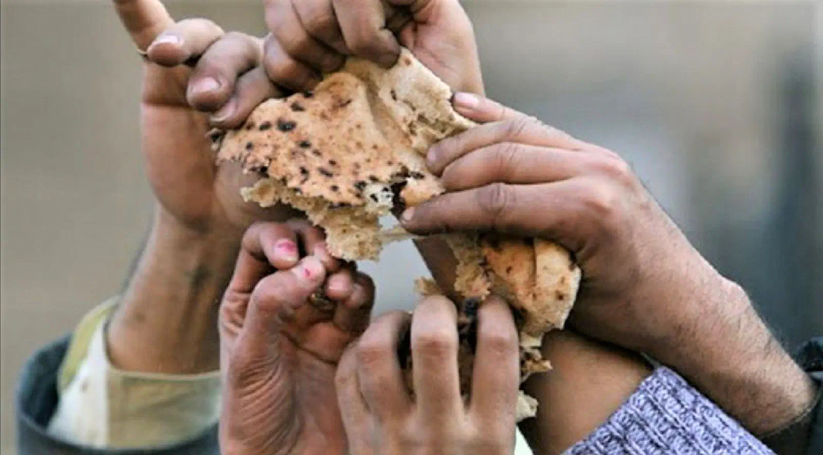 Featured image of post Măsuri necesare pentru evitarea unei crize alimentare devastatoare