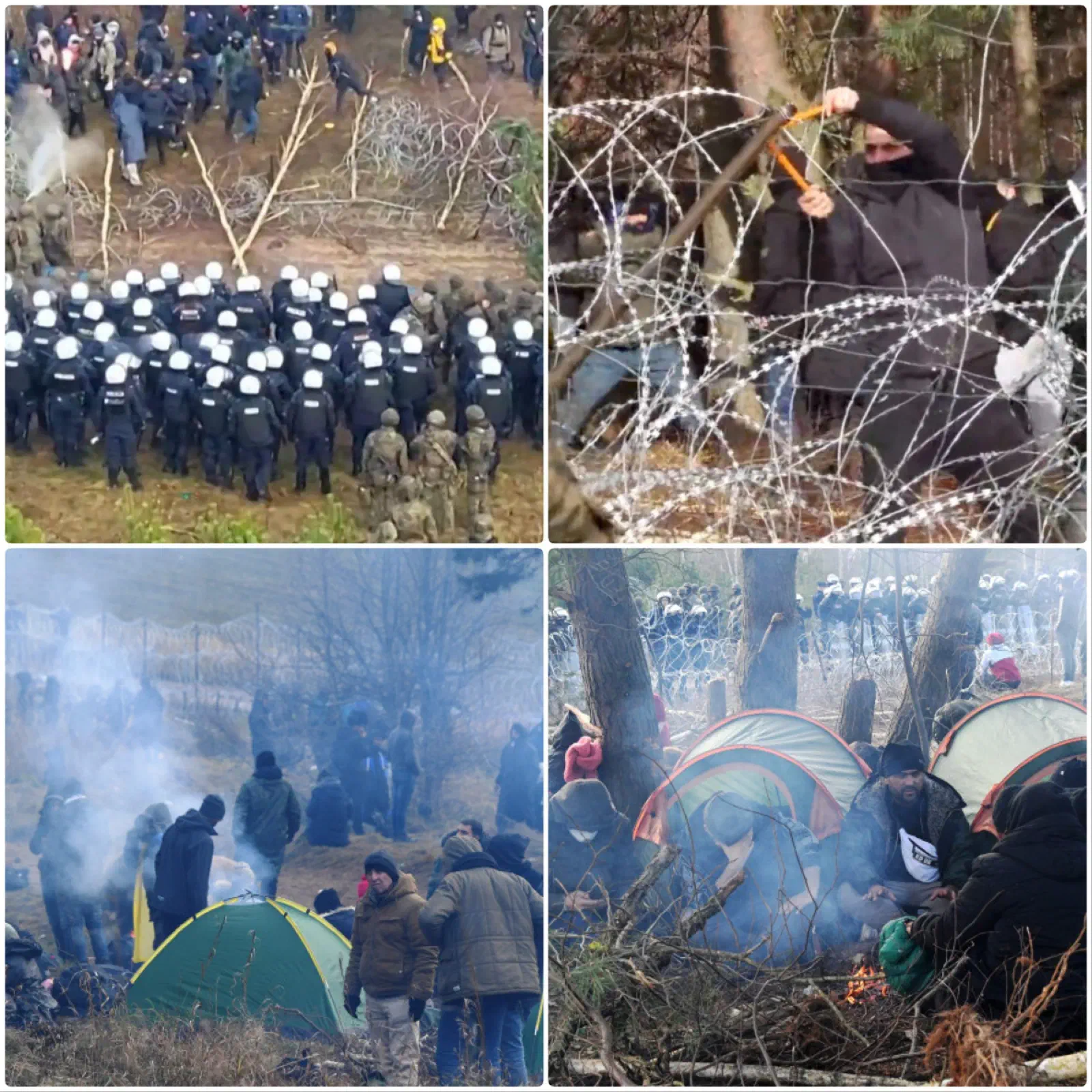 Featured image of post Germania a schimbat politic placa și nu mai vrea migranți!