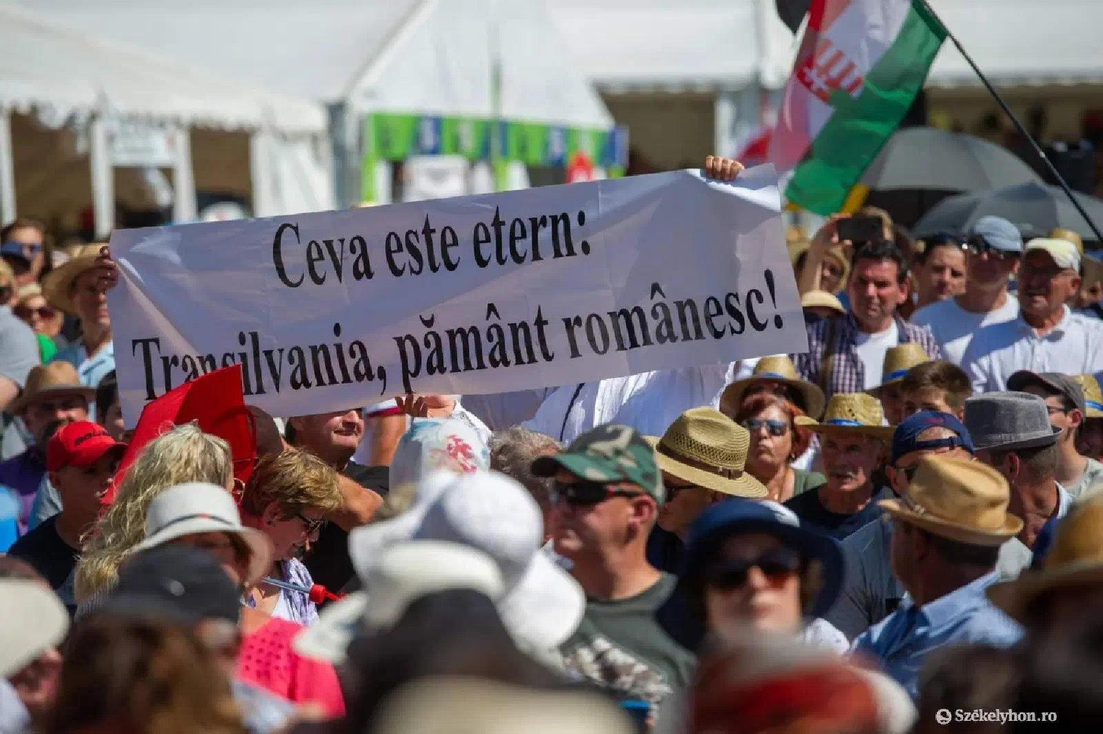Featured image of post Cât sictir!